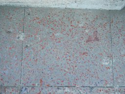 QueenVictoria2015-090